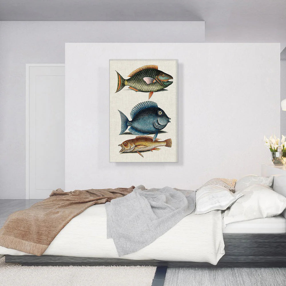 Parrot Fish Tang Fish and Yellow Fish