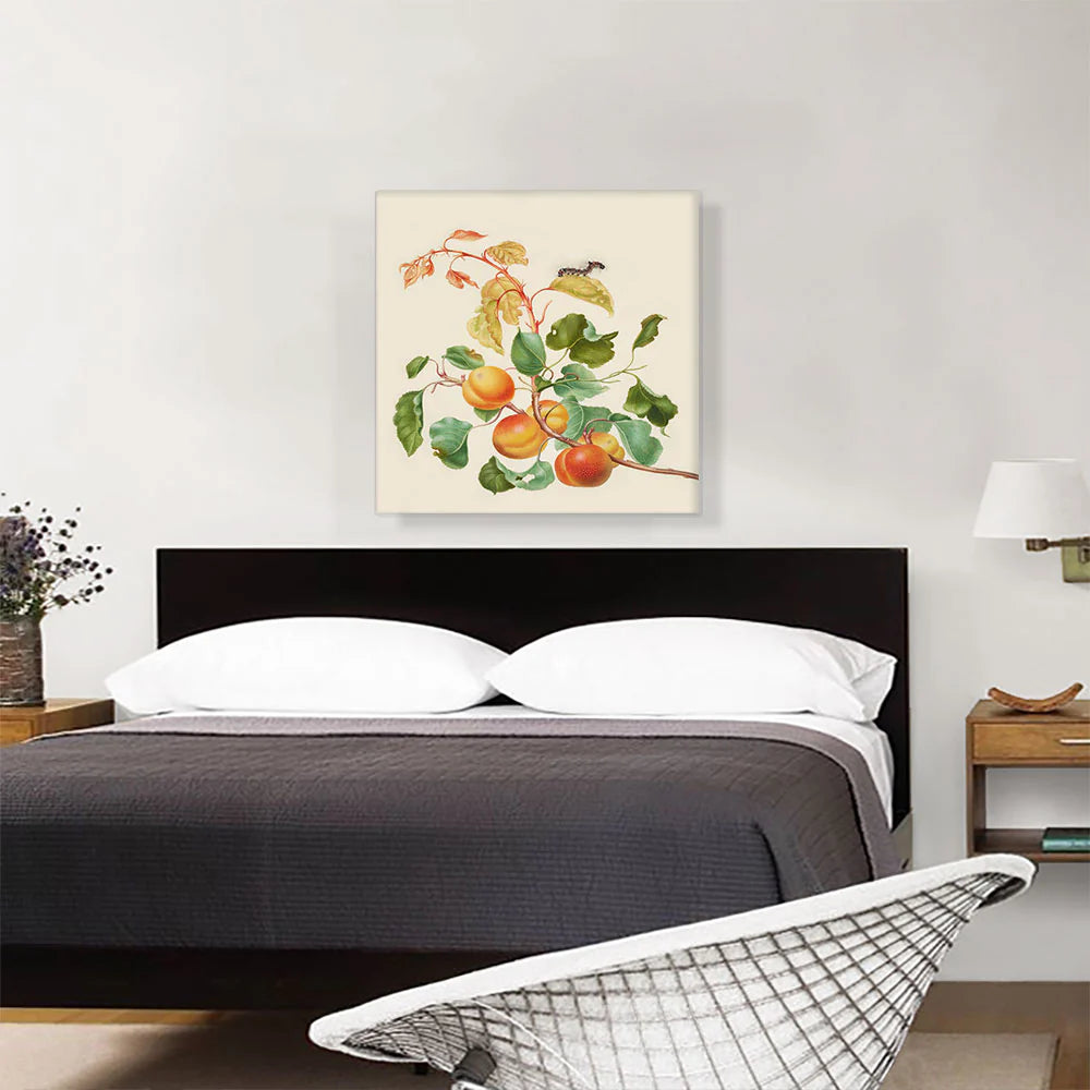 Apricot Branch with Dark Dagger Moth Caterpillar 1705