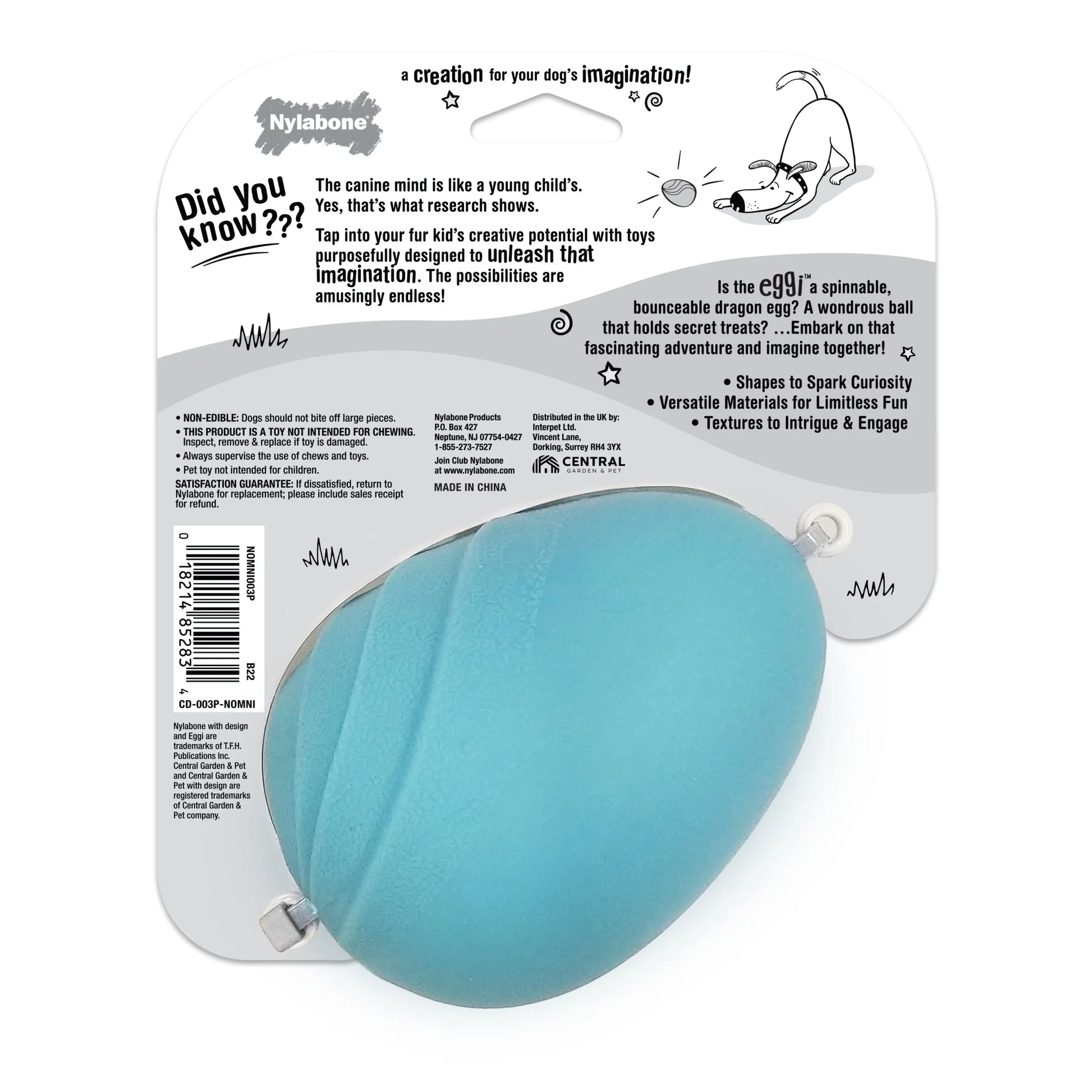 Springa Interactive Dog Toy, Lightweight Flexible Floatable Tug Toy