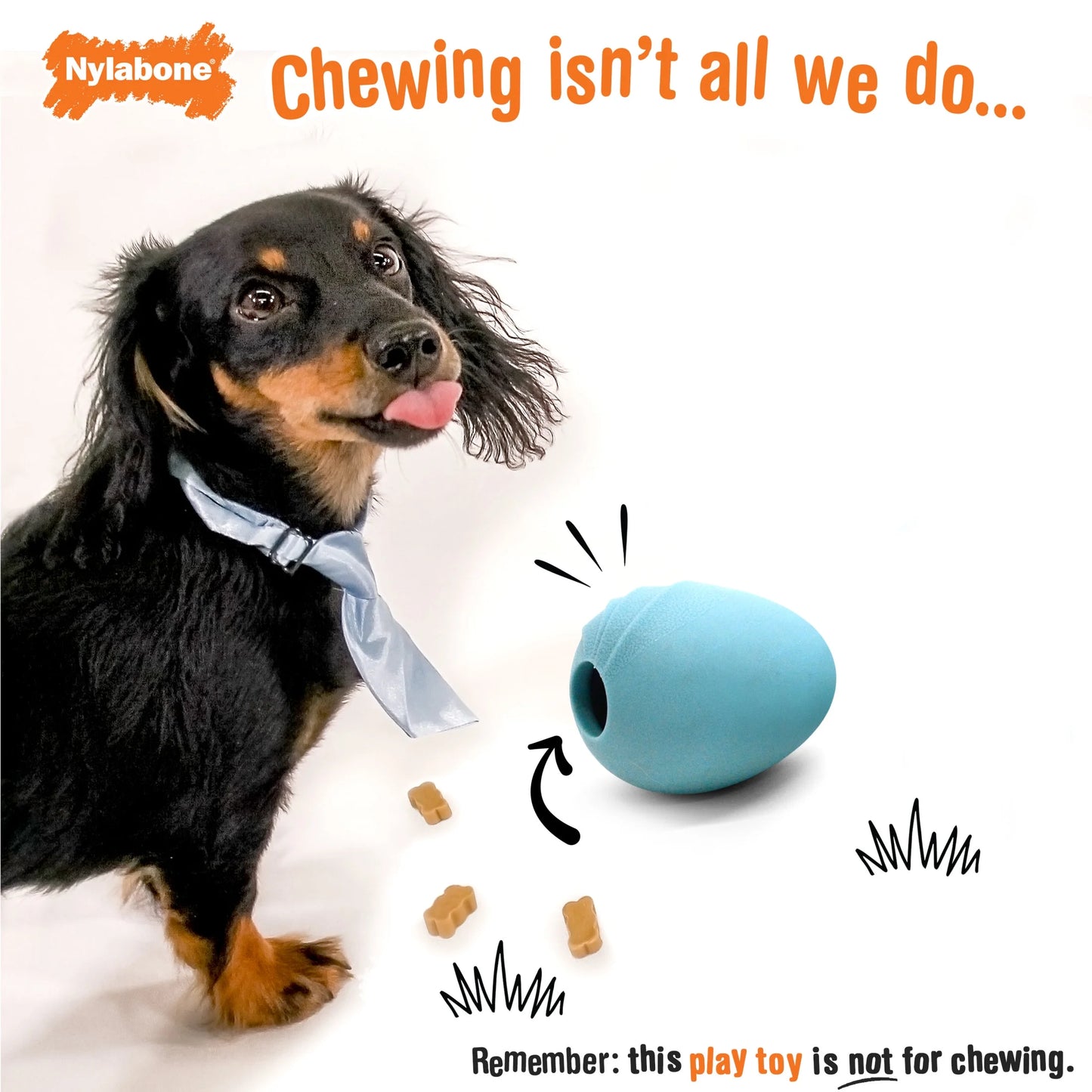 Springa Interactive Dog Toy, Lightweight Flexible Floatable Tug Toy