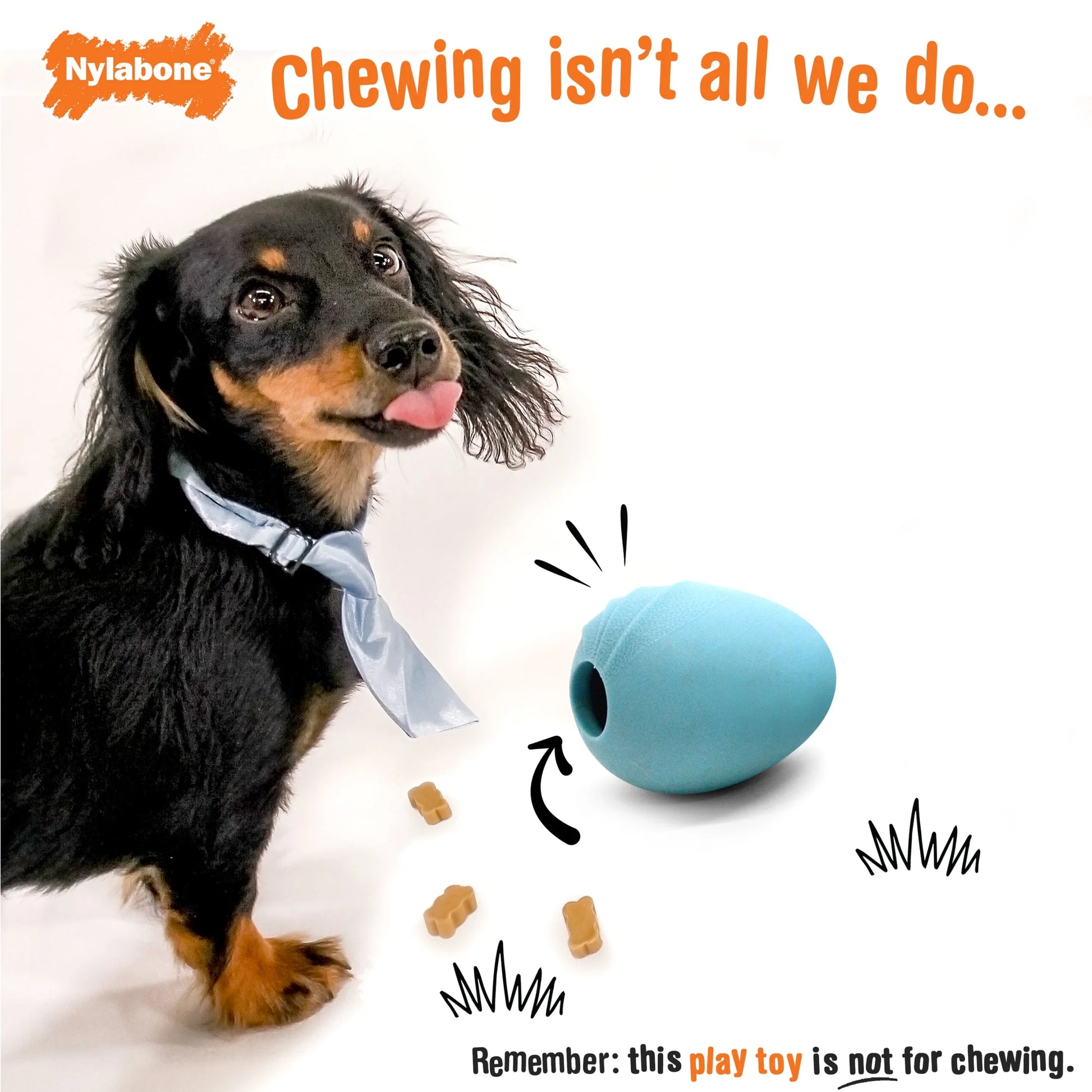 Springa Interactive Dog Toy, Lightweight Flexible Floatable Tug Toy