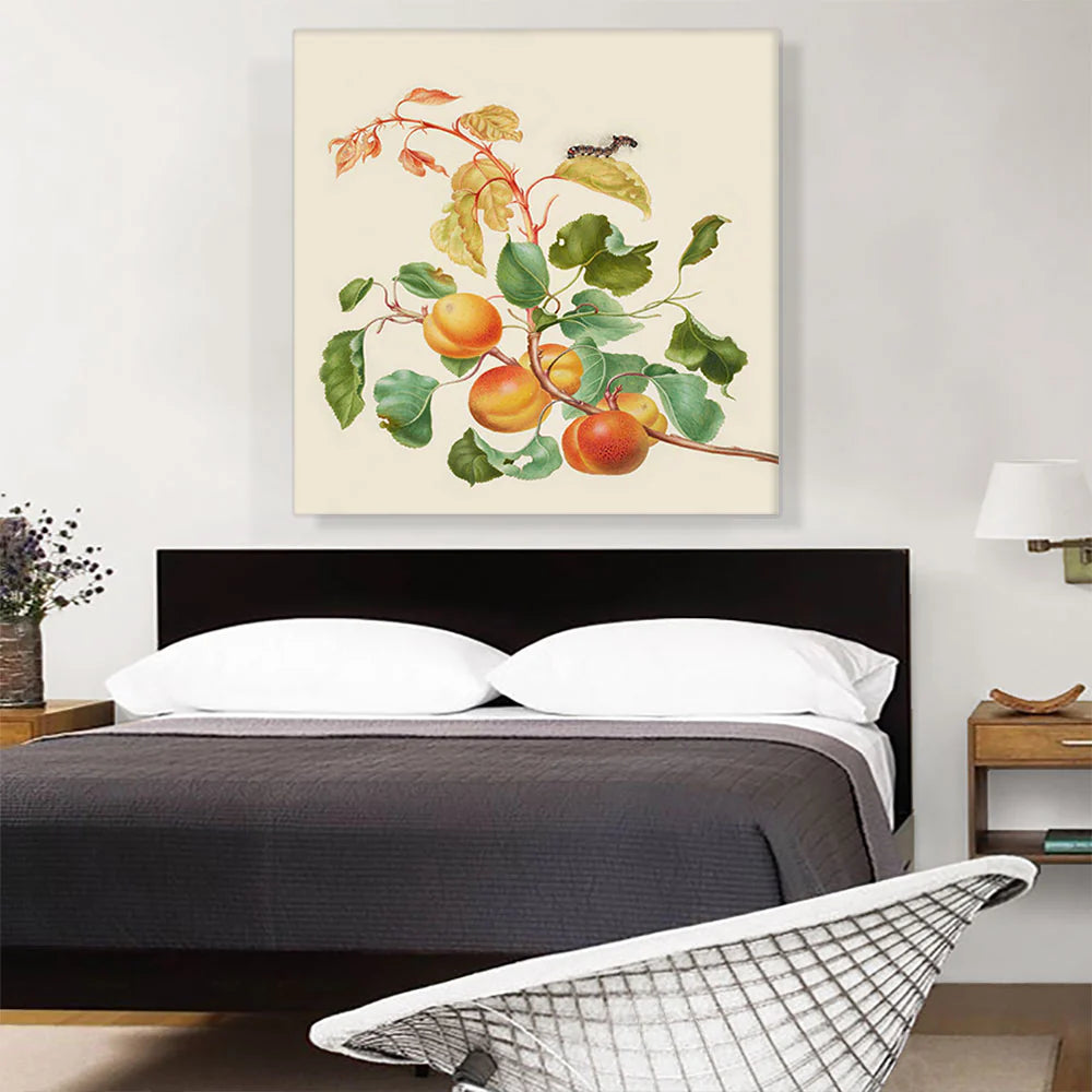 Apricot Branch with Dark Dagger Moth Caterpillar 1705